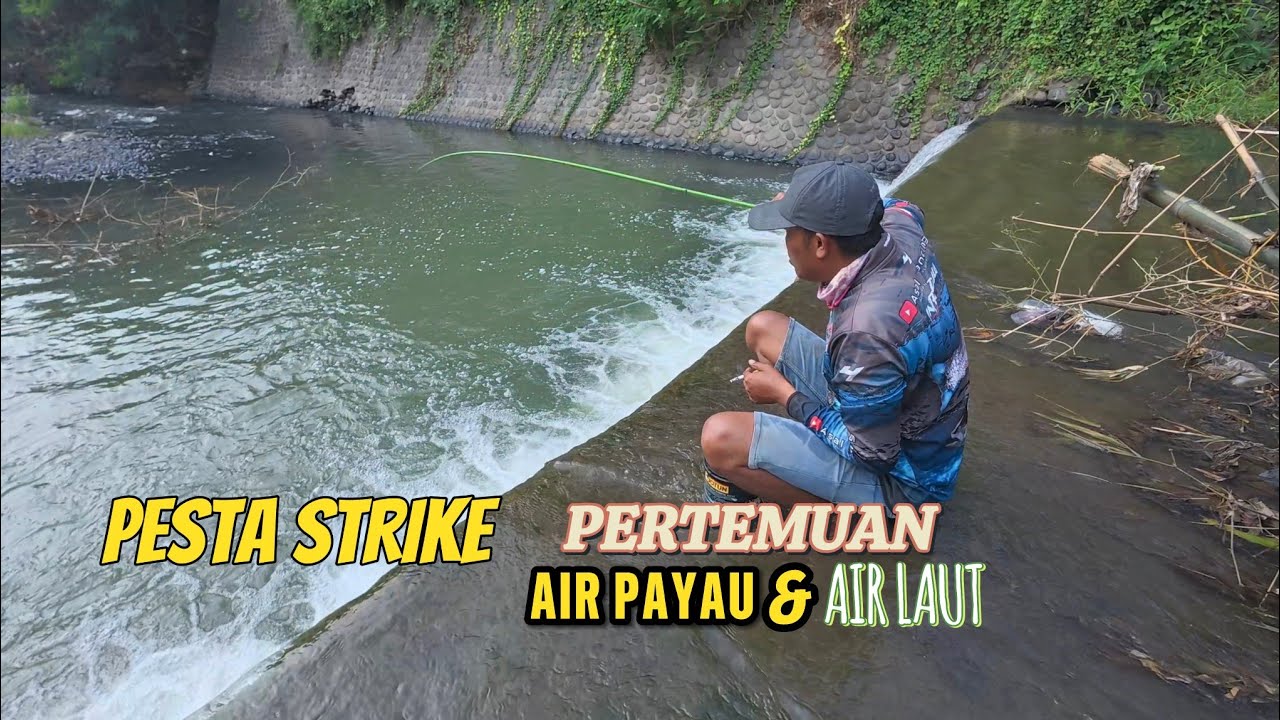 Mancing di sungai pertemuan antara air tawar dengan air payau,Hasil ikan nya MEMUASKAN