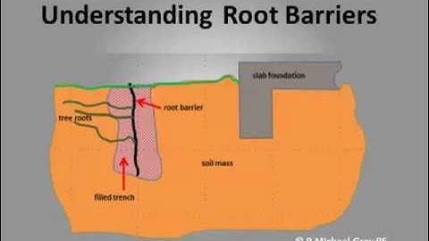 R Michael Gray PE - Using Root Barriers to Maintain Houston Slab Foundations