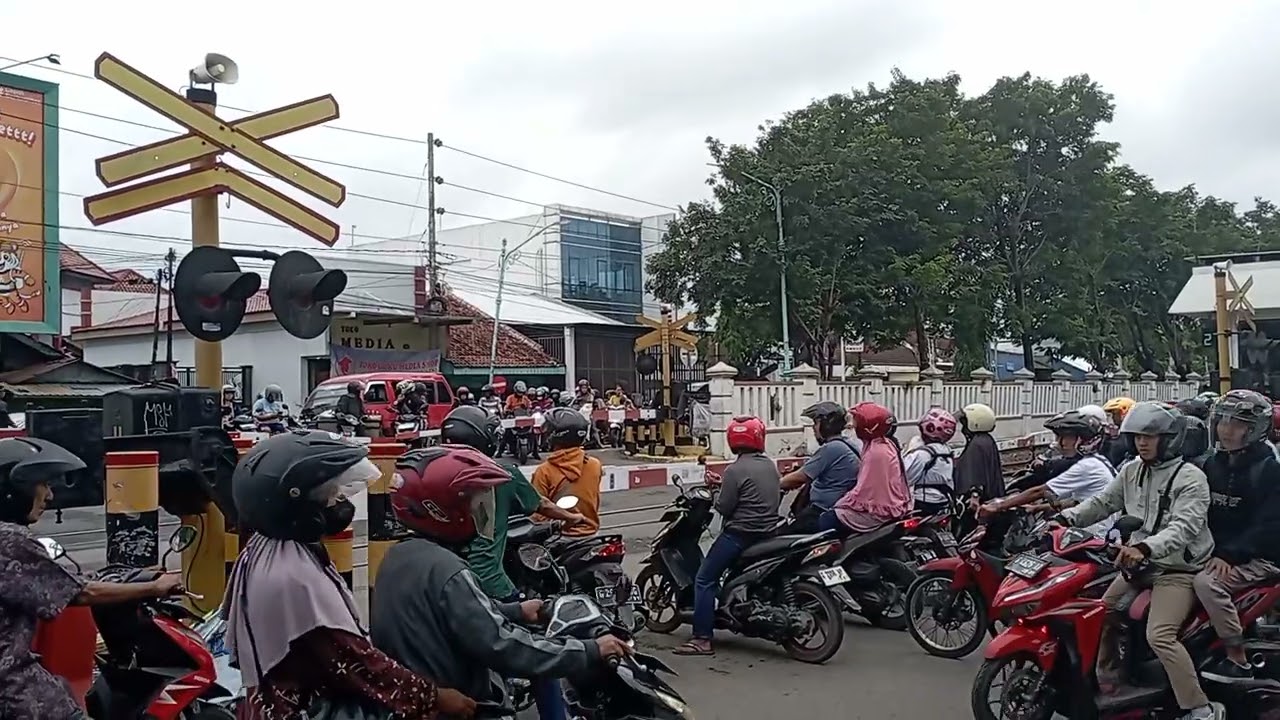 Hunting di JPL 278 brebes