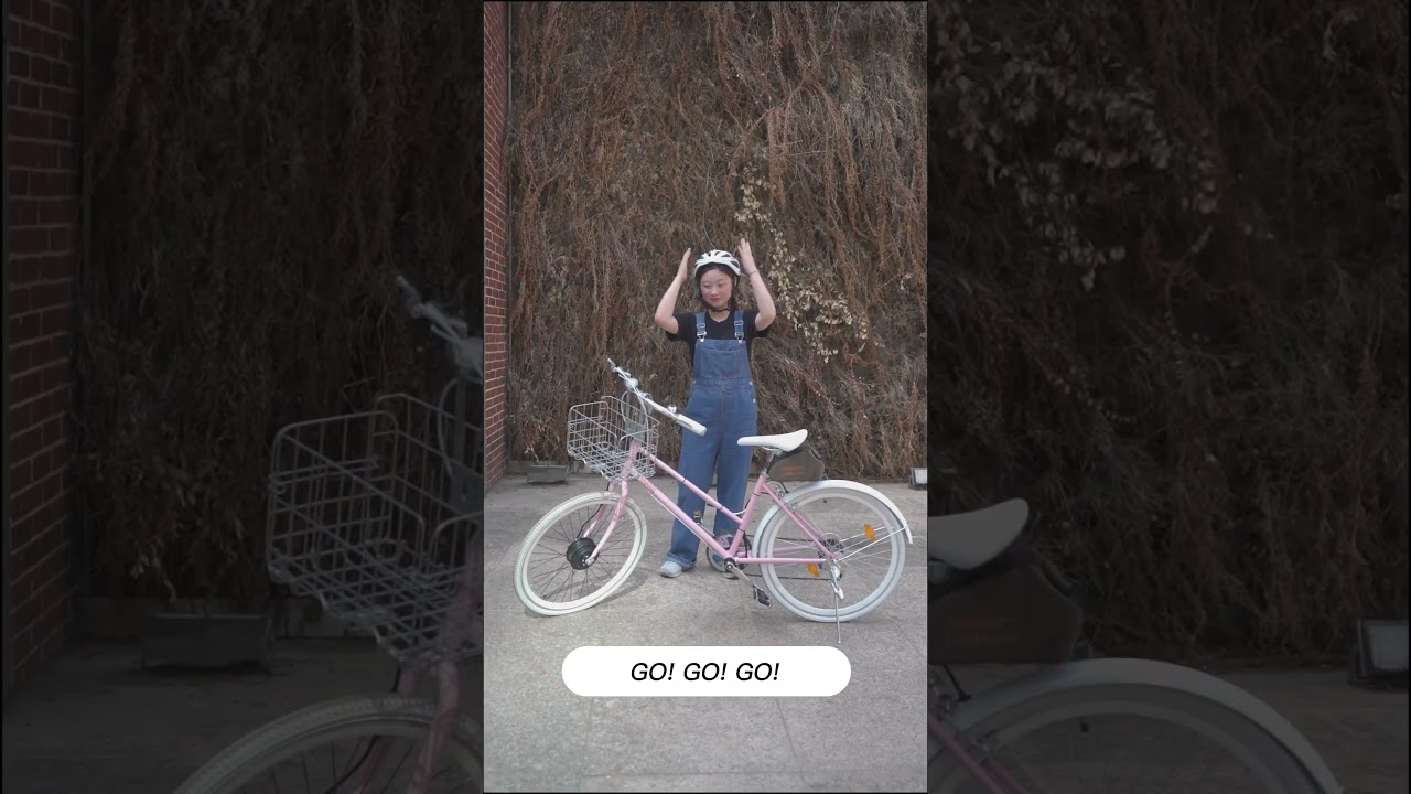 E Bike Conversion Kit Brushless Hub Motor E-Bike Conversion Electric Bicycle Kits with IP65 Waterpro