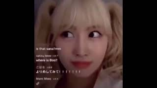 momo stare