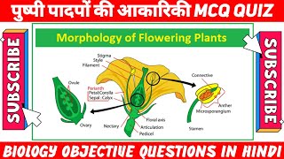 NEET 2023 - पुष्पी पादपों की आकारिकी | Morphology of Flowering Plants. @StudyCircle247 #neet2023