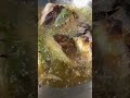 PESMOL IKAN KEMANGI, GURIH SEGAR NGABISIN STOK NASI. #shortviral #fyp #alhamdulillah