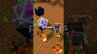 This smp is actually FUN!!! #minecraft #minecraftserver #shorts