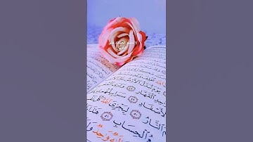 #سورة_البقرة #اكسبلور #القرآن_الكريم #القران #اسلام_صبحي #دويتو #حالات_واتس #سورة_الكهف #duet #تلاوة