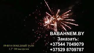 ПОБЕДНЫЙ ЗАЛП FP B310