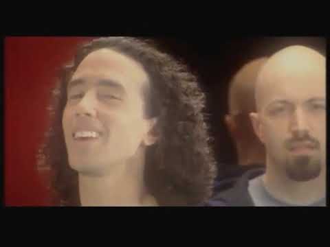 Shazz - back in Manhattan