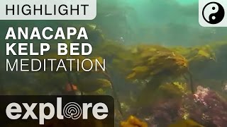 Anacapa Kelp Bed Meditation - 30 Minute Highlight 06/23/16