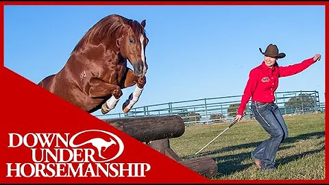 Shana and Marty at Liberty - Downunder Horsemanship