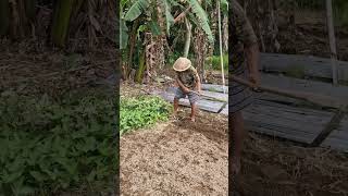 Unique techniques for cultivating agricultural land -farming #shorts