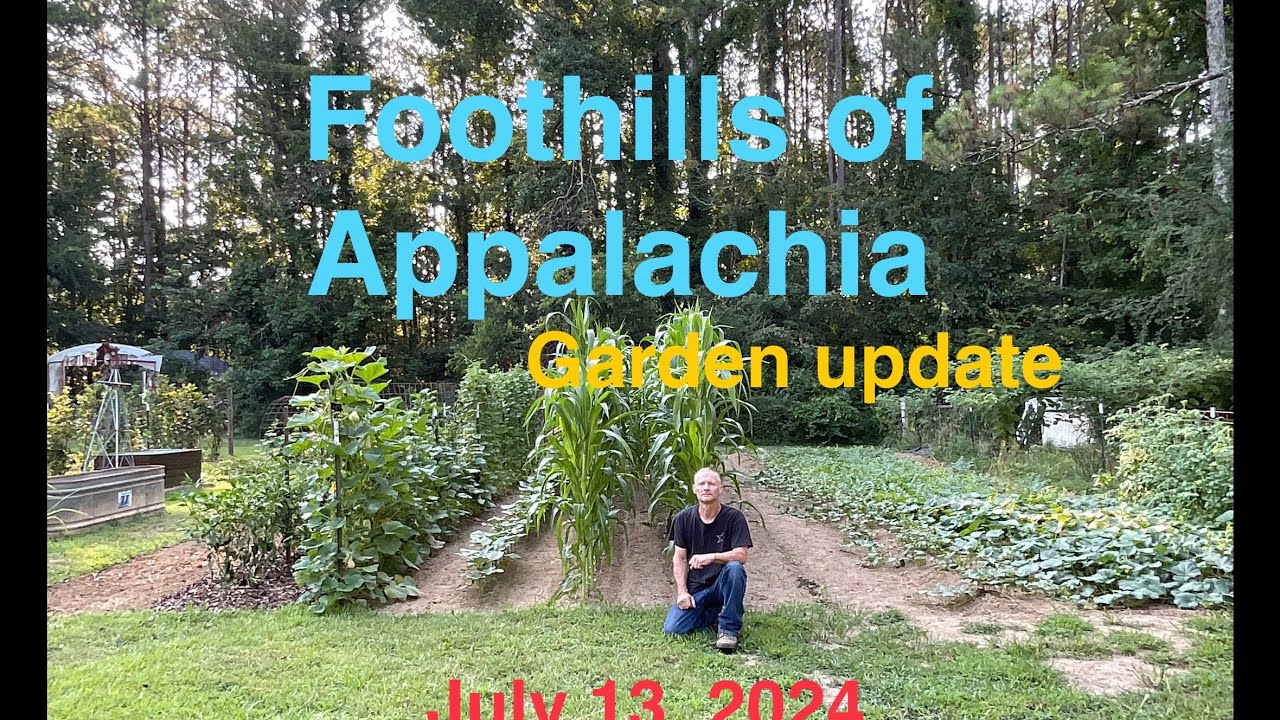 Gardening in North Georgia 2024 garden season