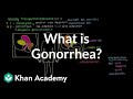 What is gonorrhea? | Infectious diseases | NCLEX-RN | Khan Academy