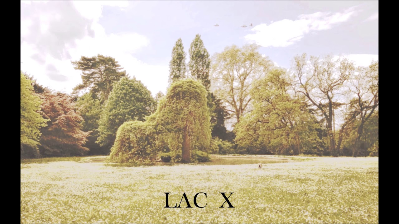 LAC X - There must be a lake somewhere, a willow, and the clouds