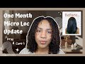 1 month loc update|Moisturizing  Routine| Micro Braid  Starter Locs| Loc Journey