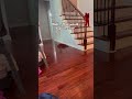 Oh nooooâŠ. ð€£ð³ïžâðð
ðŒð¶ #funny #foryou #dog #fypã·ãviral #shorts #youtube #trending #idk