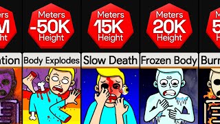 Comparison: You At Different Heights