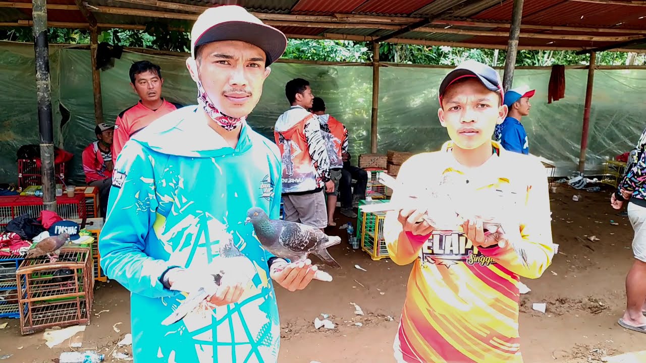 LOMBA MERPATI TINGGI KOLONG LAPAK JATI ALIT WONOSOBO