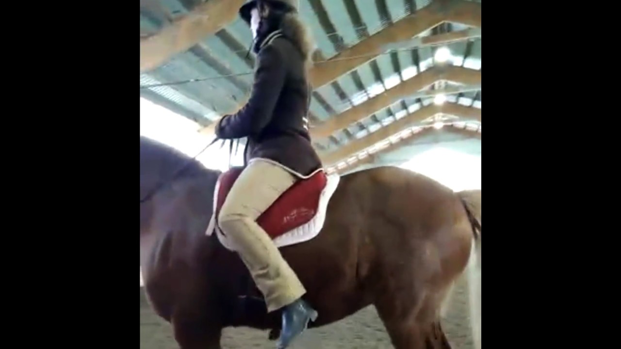 Valiant, Bent Branderup clinic 2017.