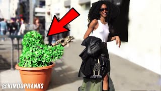 Bushman Prank Crazy Reactions