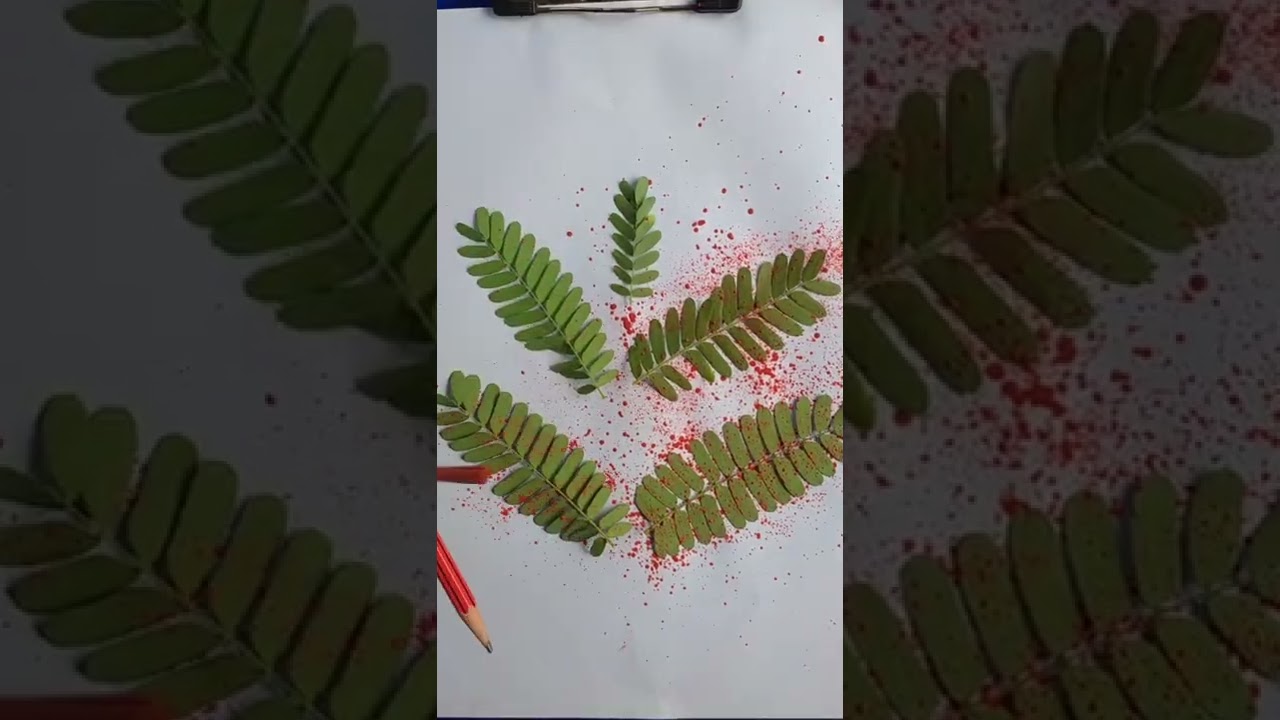 Spray painting with tree leaves