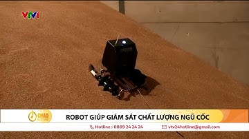 Robot giúp giám sát chất lượng ngũ cốc | VTV24