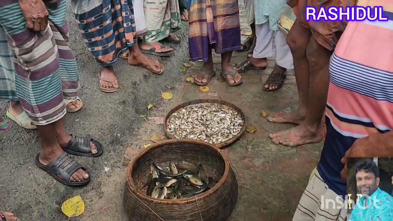 দেশি প্রজাতির মাছ 