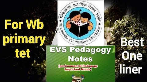 Wb primary tet 2022 ll Evs Pedagogy ll Important One liner ll Objective modules