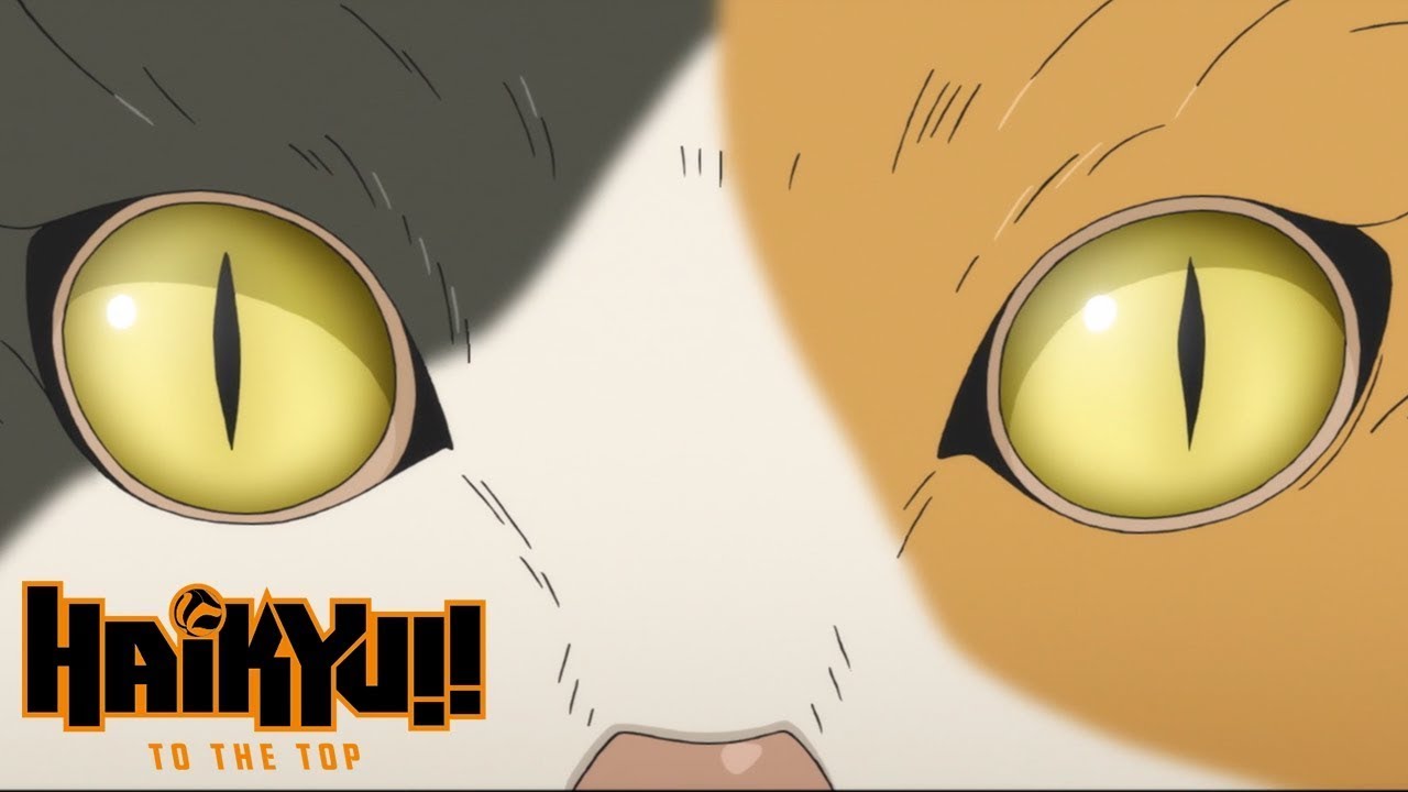 Haikyu!! To The Top (TV 4) - Anime News Network