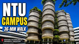 NTU Singapore Walk | Yunnan Garden, The Hive & Nanyang Lake 🌿 Relaxing Virtual Campus Tour