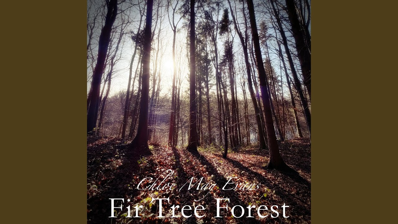 Watch Fir Tree Forest on YouTube Watch Fir Tree Forest on YouTube