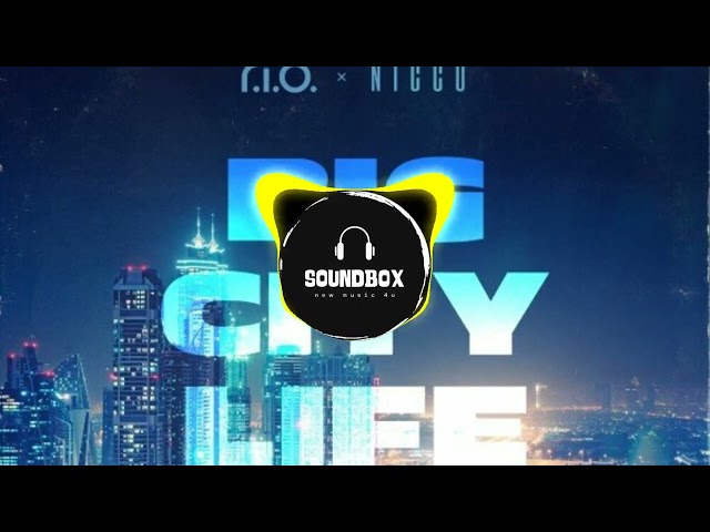 R.I.O. feat. Nicco - Big City Life