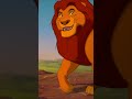 Simba And Mufasa S Morning Walk The Lion King Disney Kids