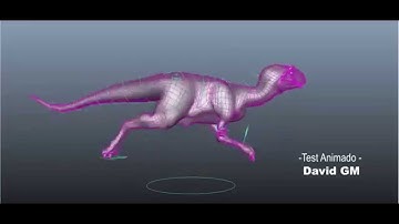 Dinosaurio 3D, Run Cycle (velocyraptor)