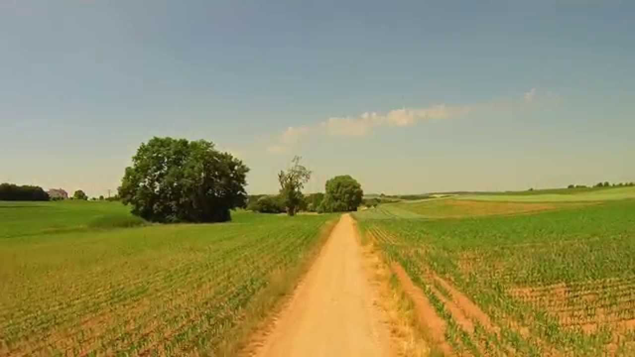 Blade 350 QX3: First Flight with C-GO2