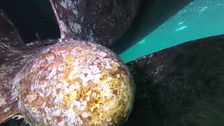 M/V PAX  UWS AFTER-2 DJI 20250913113238 0006 D A21