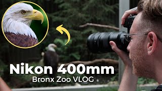 Testing the Nikon NIKKOR 400mm F4.5 Lens | Bronx Zoo Vlog