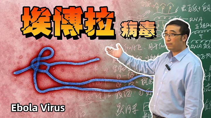 埃博拉病毒有多恐怖？人们对付病毒最有效的方法是什么？ - 天天要闻