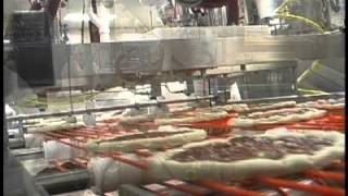 CONVEYORIZED TARGET™ SAUCE APPLICATOR, MODEL # QTIA SERIES