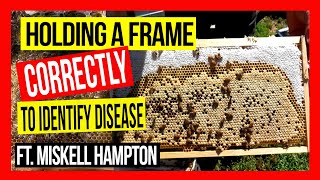 Holding a Bee Frame Correctly [to Identify Disease] ft Miskell Hampton
