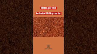 Bu Hayvanı Sadece %5Lik Kesim Görüyor Sen Onlardan Mısın?