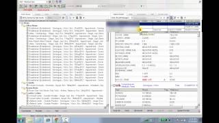 Celebrity Enhanced Allscripts EHR Worklist View Profile
