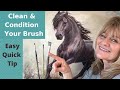 Clean And Condition Your Brush~Quick And Easy Tip