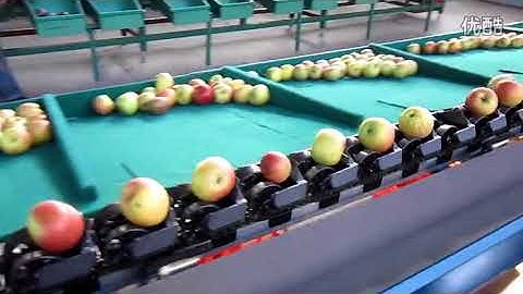 Computerized Fruit Weight Sorting Machine from Vivian +86 13213238287