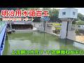 【明治用水頭首工】上流側注水完了・下流側撤収始まる【2026年4月20日レポート】