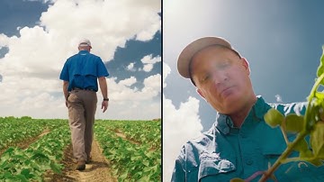 BREAK THROUGH: NEW PHYTOGEN® BRAND VARIETIES SET NEW STANDARD FOR YIELD, QUALITY & PROTECTION