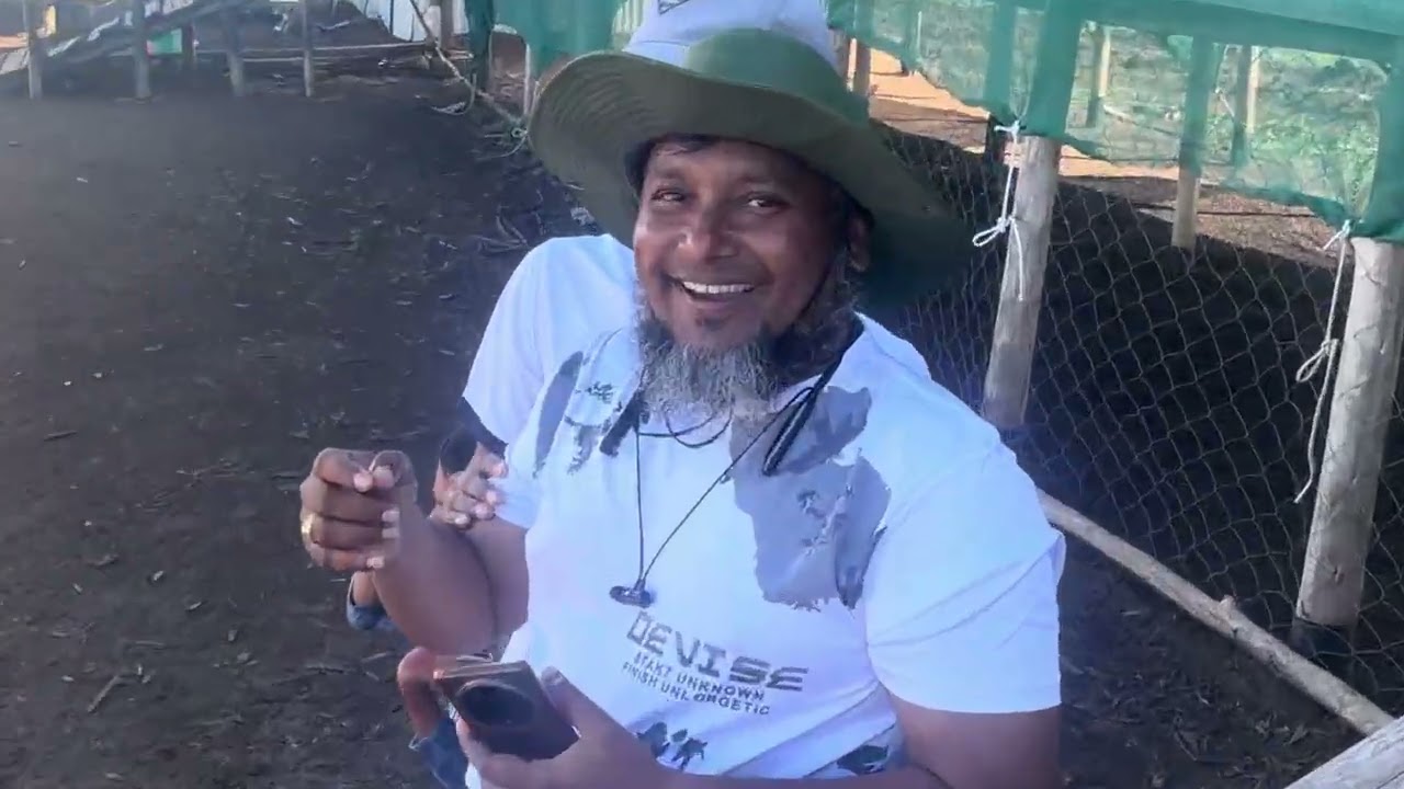 ৬০০ দুম্বা হয়ে  গেছে - উগান্ডা ফার্মে