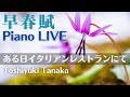 【PIANO LIVE ”早春賦”】イタリアンレストランにて Toshiyuki Tanaka