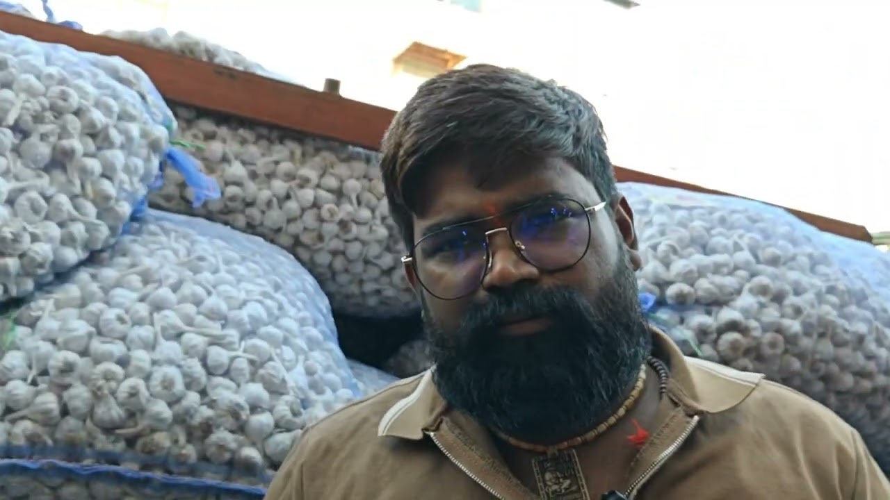 11 Dec 25 | Today Garlic Market Price | Garlic Price The Shocking Prediction 