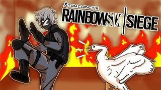 Rainbow Six Siege But A Goose Sabotaged Me