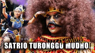 SATRIO TURONGGO MUDHO TENING - JARAN KEPANG - PERFORM BALEKERSO GEDONGSARI JUMO 2024